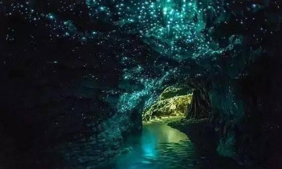 油炸过的油变黑，怎么才能使其变清澈游戏画面