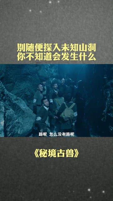 小猫钓鱼正版下载中文版