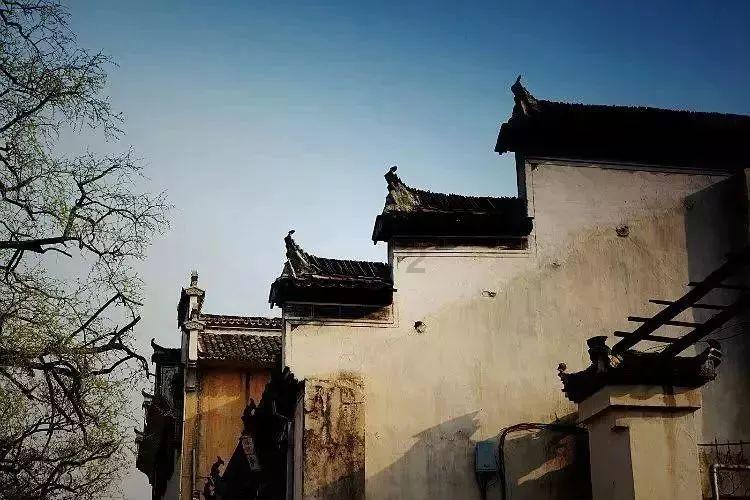 小腰带